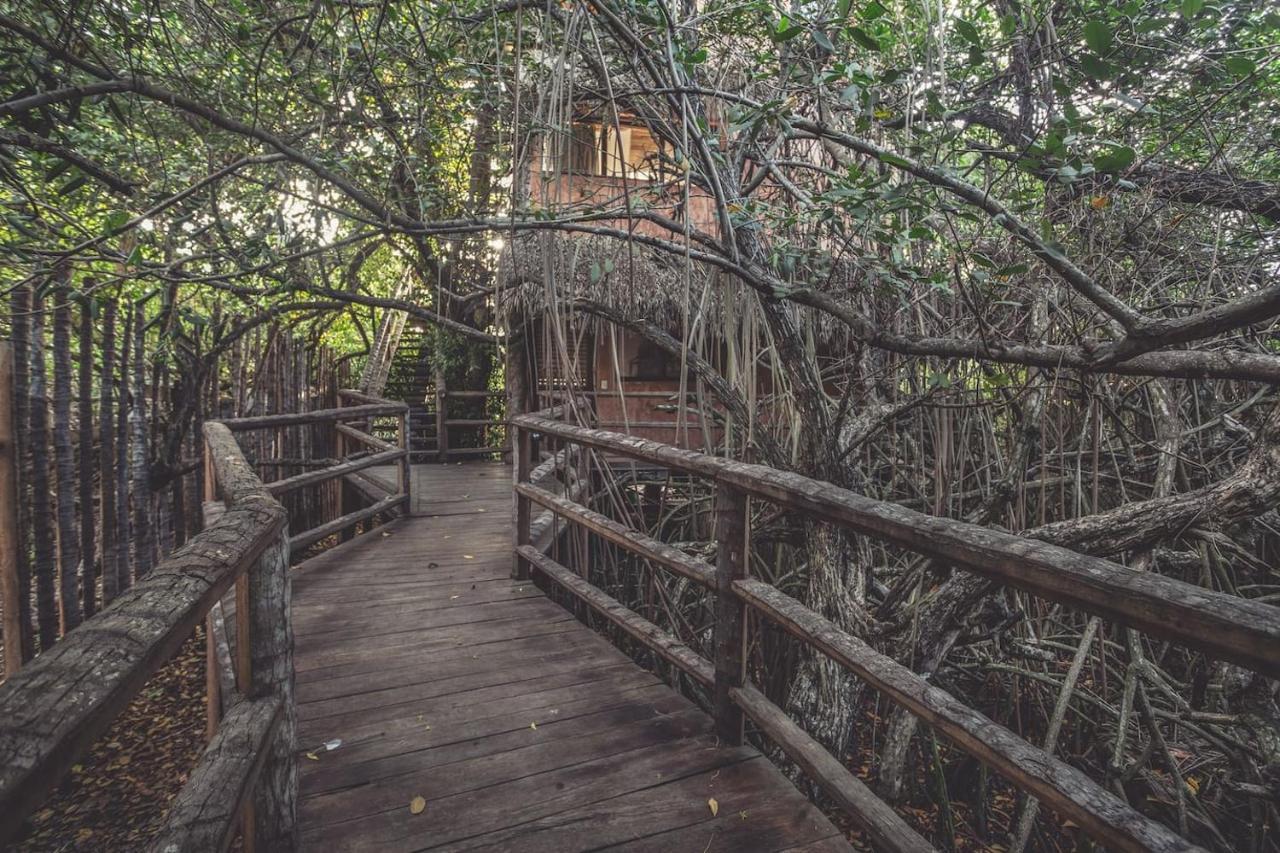 Hidden Treehouse Tulum Eco-Hotel Exterior photo